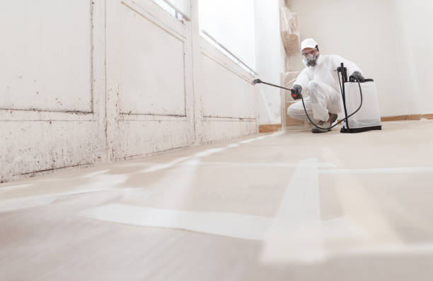24/7 Emergency Mold Remediation experts in Palestine, IL